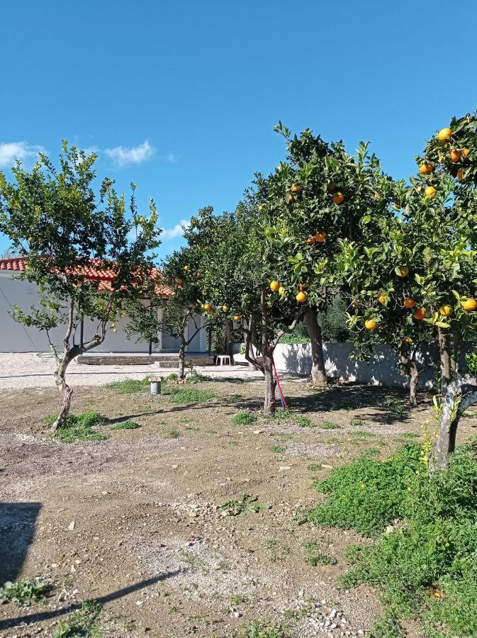 菲尼孔塔Avocado House别墅 外观 照片