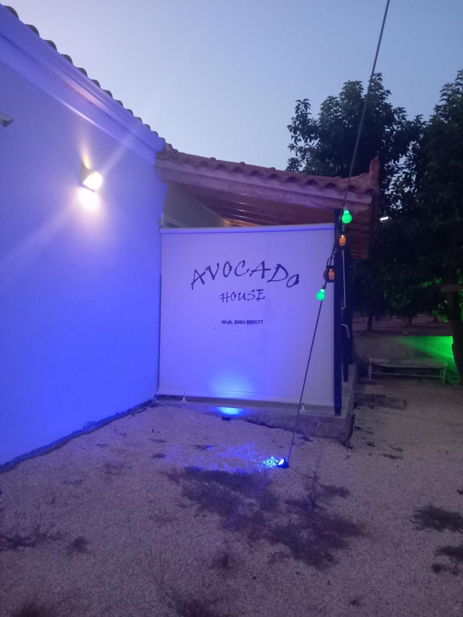 菲尼孔塔Avocado House别墅 外观 照片